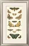 Buy Cramer Butterfly Panel I at AllPosters.com