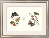 Buy Entomology I at AllPosters.com