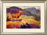 Buy Scotland for Holidays at AllPosters.com