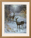 Buy Early Snow at AllPosters.com