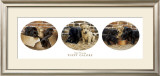 Buy Puppy Galore at AllPosters.com