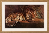 Buy Tigre Royal at AllPosters.com