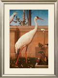 Buy Indian Crane, Cockatoo, Bullfinch and Thrush at AllPosters.com