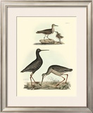 Selby Sandpipers I