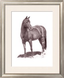 Buy Calypso Pony at AllPosters.com