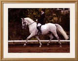 Buy Dressage at AllPosters.com
