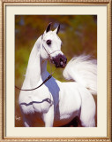 Buy A Vision in White at AllPosters.com