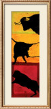 Toros