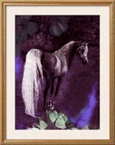 Buy Grey Stallion Art at AllPosters.com