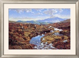Buy Stags at AllPosters.com