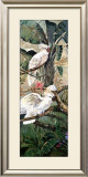Buy Parrots in Paradise I at AllPosters.com