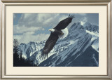 Wings over Winter