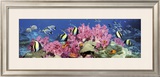 Buy Under the Sea at AllPosters.com