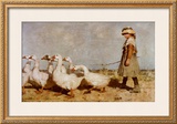To Pastures New