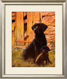 Buy Son of a Gun at AllPosters.com