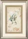 Asian Paradise Flycatcher