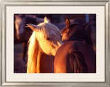 Buy Telling Secrets at AllPosters.com
