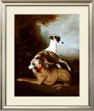 Whippets, 1981