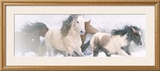 Buy Mystic Journey at AllPosters.com