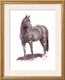 Buy Calypso Pony at AllPosters.com