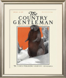 Buy Beaver in Winter, c.1916 at AllPosters.com