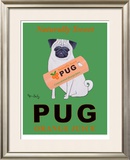 Pug Orange Juice