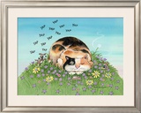 Cat-titude