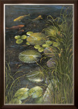 Buy Koi Pond at AllPosters.com