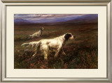 Setters on the Moors