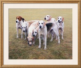 Buy Seven V.W.H. Foxhounds at AllPosters.com