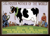 Foster Mother of the World