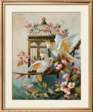 Buy Cockatoo and Blossoms at AllPosters.com