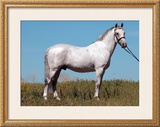 Buy Stand Proud at AllPosters.com