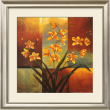 Orange Orchid