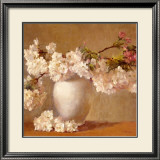 Cherry Blossom