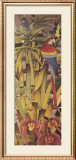 Tropica I