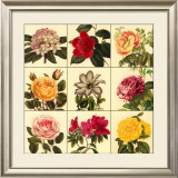 Buy Garden Glory at AllPosters.com