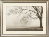 Buy Layers of Trees I at AllPosters.com