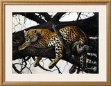 Buy Laziness at AllPosters.com