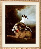 Whippets, 1981