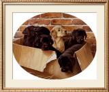 Buy Six Pack at AllPosters.com