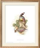 Buy Gamble's Quail at AllPosters.com