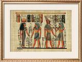 Egyptian Papyrus, Design III