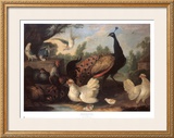 Buy Barnyard with Chickens at AllPosters.com
