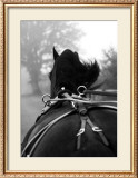 Buy Cantering at AllPosters.com
