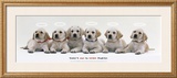 Every Family