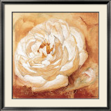 Buy Good Year for the Rose at AllPosters.com