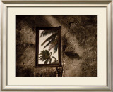 Buy Palm View II at AllPosters.com
