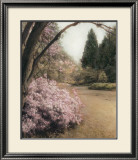 Azalea Way Framed Art Print
