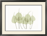 Buy Woodlands I at AllPosters.com